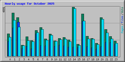 Hourly usage for October 2025